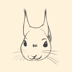 Croquis Quotil
